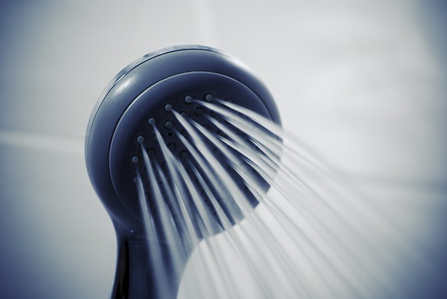 PMI Concurs with Latest DOE Revision of Showerhead Definition